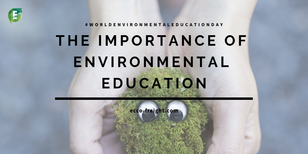 The Importance of Environmental Education