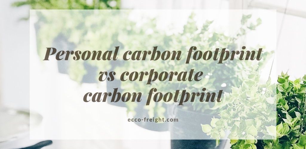 personal carbon footprint vs corporate carbon footprint