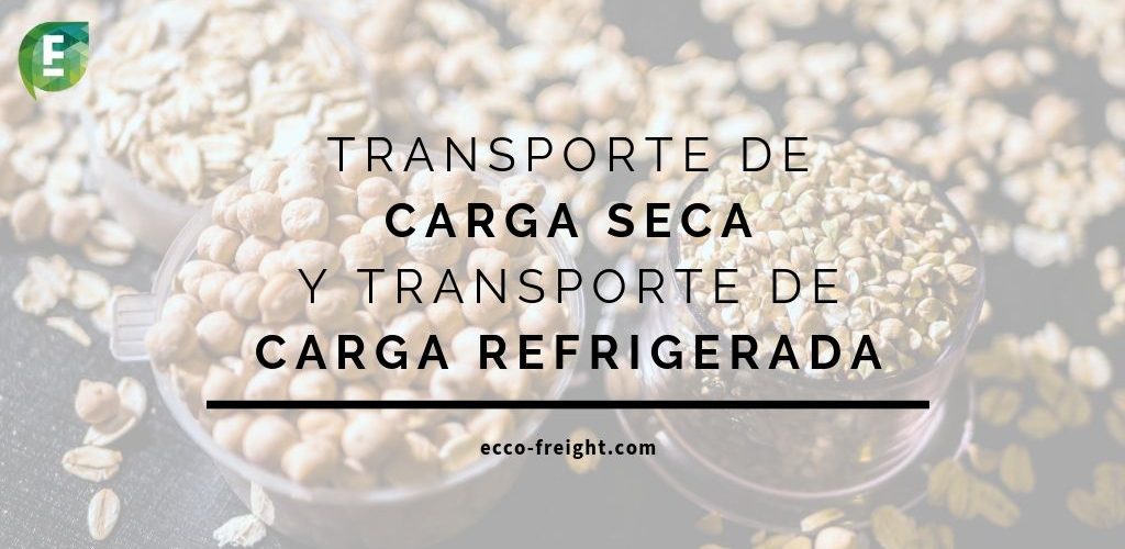 dry-and-reefer-cargo eccofreight