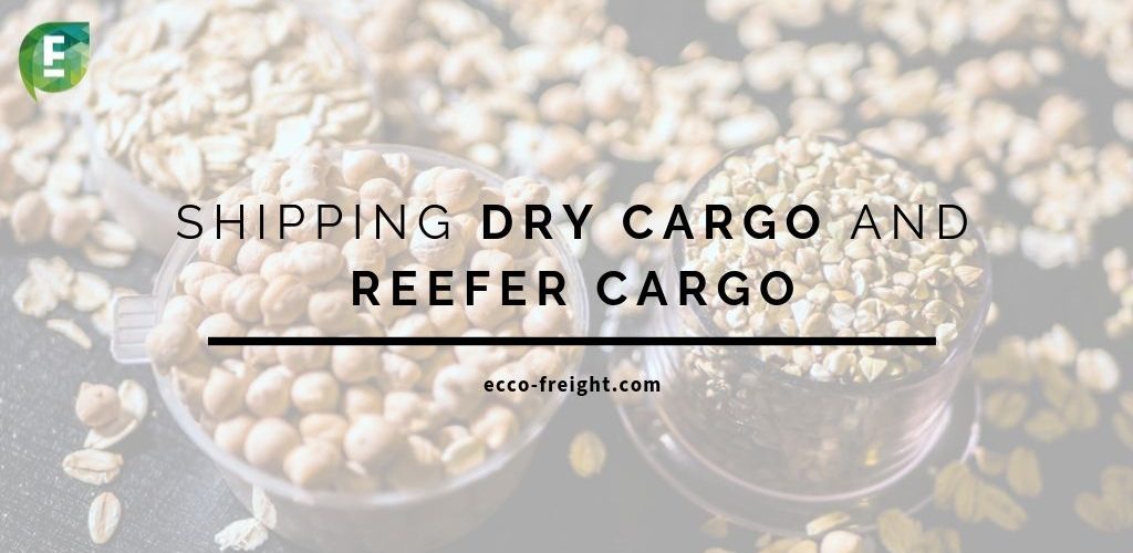 dry-cargo-reefer-cargo-eccofreight